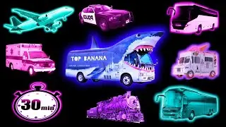 ❗️30 Minutes MIX 🔊 Vehicles Horns, Syrens Sound Variations MEGA Compilation