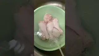 Озонатор в действие. Очищаем озоном мясо птицы