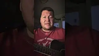 Волчонок