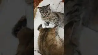 Вечером...