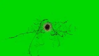 Headshot green screen blood hit bullet HD