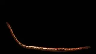 worm puppet corykerr