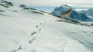 BKW | Unser Antrieb: Mehr Nachhaltigkeit im Schneesport.