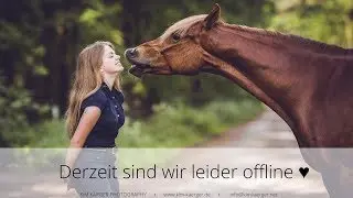 [LIVESTREAM] BILDBEARBEITUNG & FRAGERUNDE