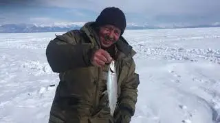 Для субботы не плохой улов.