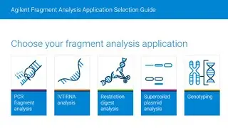Confident Nucleic Acid Fragment Analysis for Your Applications with Automated Electrophoresis