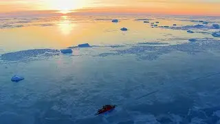 Climate Emergency: Feedback Loops - Part 5: Albedo