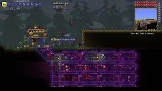 Terraria Проверка