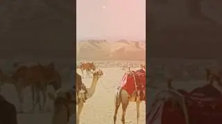 Друзья мои, новая-новая песня «Облако-туман» уже ждет вас и зовет с собою в красивое путешествие ☁️