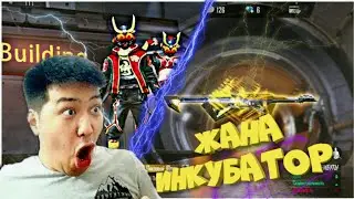 МР40  инкубатор қандай | Кига4бек шок болды!!!