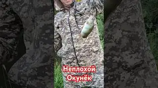 Неплохой Окунёк