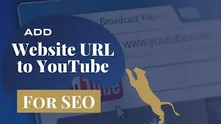 How to Add Website URL to YouTube Profiles and Videos