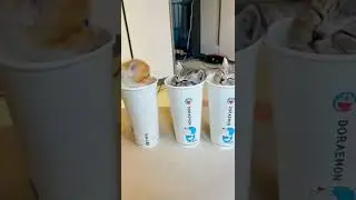 Котики коктейли