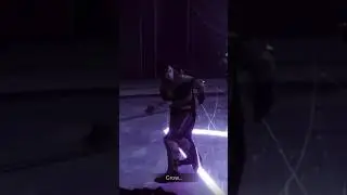Crow after Savathun gave him his memories back 