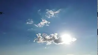 небо и стрижи