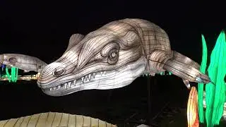 Jardin Des Plantes - Paris - Jurassique En Voie d'Illumination