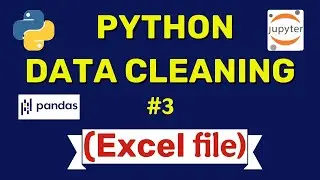 #3 Excel Data Cleaning in Python- Full Tutorial