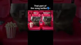 The Fnaf movie intro is just 🔥🔥 #catmemes #fnafmemes #fnafmovie #fnaf #funnycats