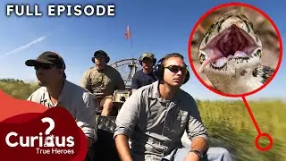 Jaw-Dropping Encounter with Florida's Most DANGEROUS Reptiles | FULL EPISODE