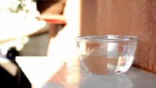 Slow motion test with Canon 550D and Twixtor!