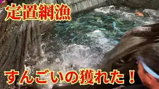 【定置網漁】満月の夜は何かが起こる!?【越前漁港の漁師たち】