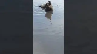 Бади водолаз!!