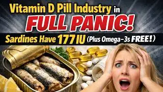 Why Vitamin Companies Are TERRIFIED of Sardine Sales Rising (Too Complete!)
