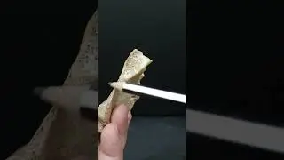 Exploring Manubrium Steranae I Thorax Anatomy Explained