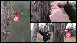 GAMO Spinner Pellet Target