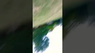 We're gonna pull up in the woods guys
