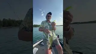 Galida’s Grubs, slams bass walleye snd more - grab your on our website! Link in bio 👍