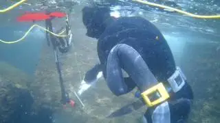 PESCASUB