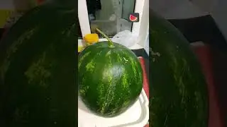 сочный астраханский красавчик