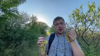 Наши окрестности. Виноградники.Станица Натухаевская / Строим дом на юге.
