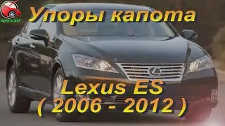 Упоры / амортизаторы капота на Lexus ES 40 / Лексус ЕС 40 '06-12