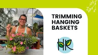Hanging basket trim Before & After