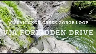 Wissahickon Creek Gorge Loop Via Forbidden Drive
