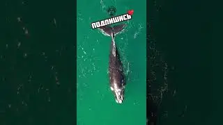 Хватит бояться Сергей Бурунов 