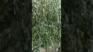 понимание  , растановка целей, на одной волне