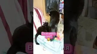 Вы на меня сели 😂(Уральские пельмени) 