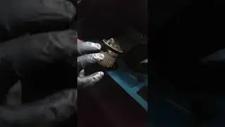 Replace Fuel Filter - MINI Cooper R50 R52 R53