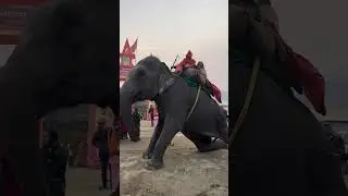 कुंभ के रंग: भारतीय संस्कृति का प्रदर्शन I कुंभ मेले के रंग: एक वीडियो फीचर I #महाकुंभ #महाकुंभकेरंग