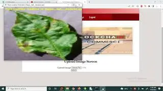 An Artificial Intelligence and Cloud Based Collaborative Platform for Plant Disease Identification