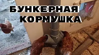 Удобная кормушка Непросыпайка для кур своими руками.