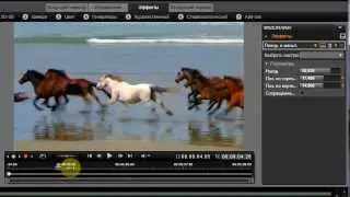 Как масштабировать видео в программе видеоредакторе Pinnacle Studio 16?