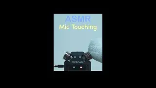 [ASMR] Furry hand pats you to sleep 😴