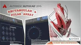 Rectangular Array and Polar Array