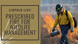 Leopold Live: Prescribed Fire for Wildlife Management