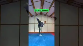 Which martial artist had the best kicks? 