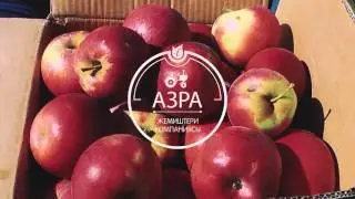 Азра жемиштери полный обзор